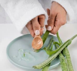 Gel d'aloe vera prélevé directement sur une feuille fraîche pour les soins naturels de la peau