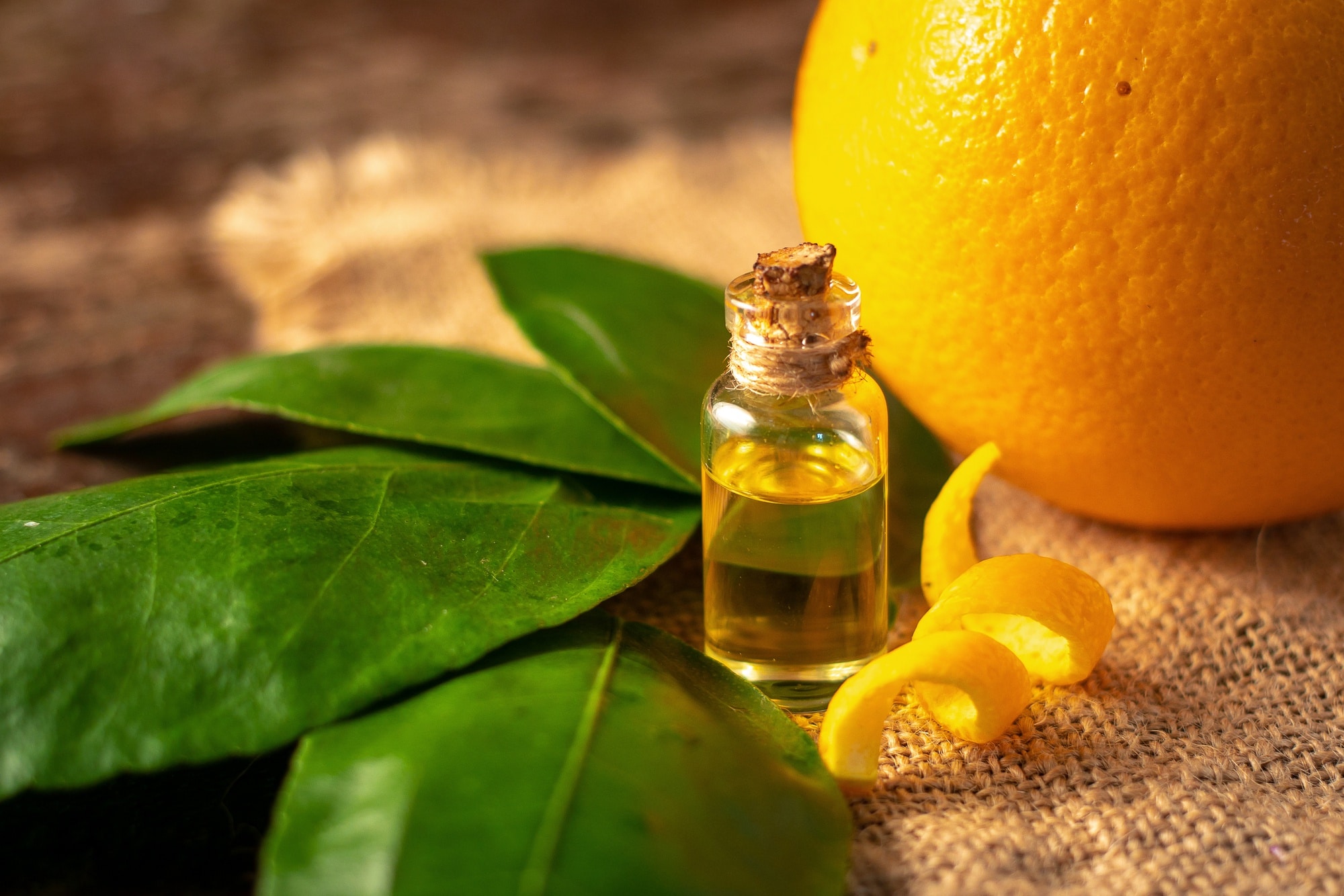 Flacon d'huile essentielle de petit grain bigarade accompagné de feuilles et d'une orange, traditionnellement utilisé pour favoriser l'apaisement.