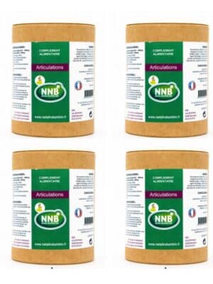 Pack-eco Lot de 4 boites Articulations NNB