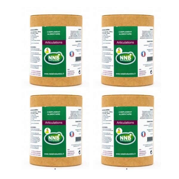 Pack-eco Lot de 4 boites Articulations NNB