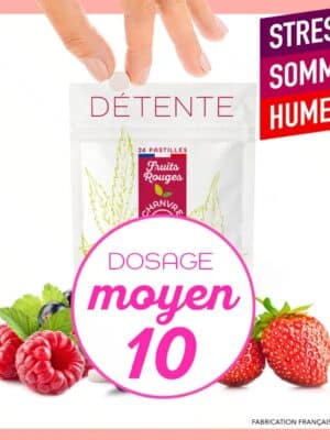 Bonbons CBD BioActif – Pastilles au chanvre bio aux fruits rouges