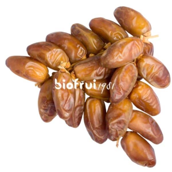 Datte Deglet Nour Sélection Extra Bio de Tolga (Algérie) - Pack Éco