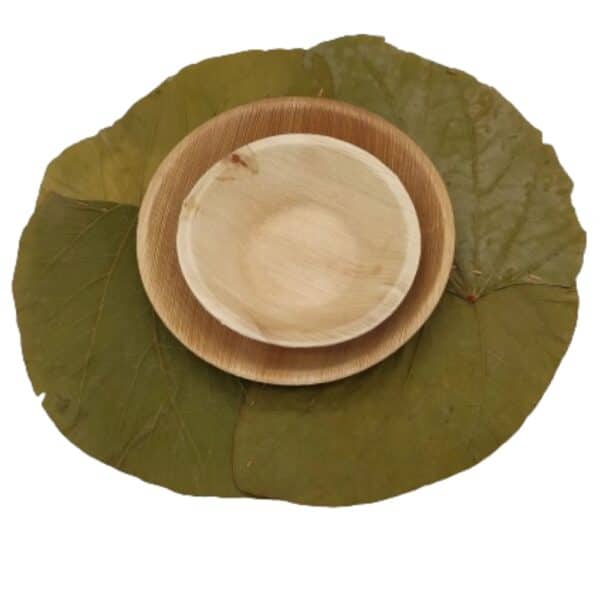Lot de 10 Set de Table feuille