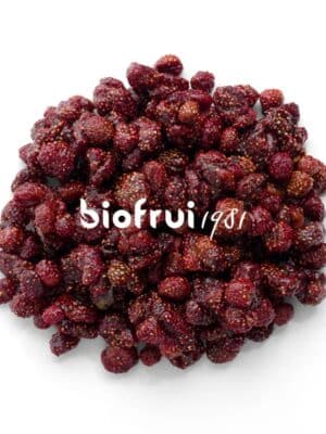 Fraise sauvage séchée entière bio des Alpes Dinariques - Pack Éco Sac de 1 kg