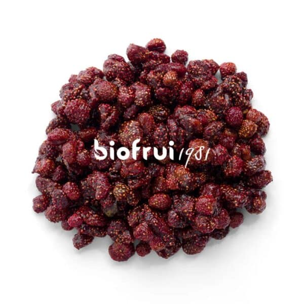 Fraise sauvage séchée entière bio des Alpes Dinariques - Pack Éco Sac de 1 kg
