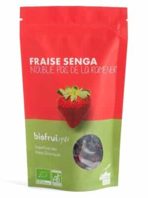 Fraise Senga Bio séchée entière des Alpes Dinariques -  Pack Éco Carton de 10 x 100g