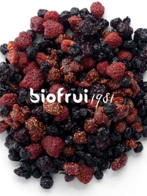 Mix Superfruits rouges séchés entiers bio des Alpes Dinariques - Pack Éco - Sac de 1 kg