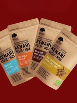 Pack découverte noix de kénari bio Écoidées – assortiment de saveurs sucrées et salées, surnommé caviar des oléagineux