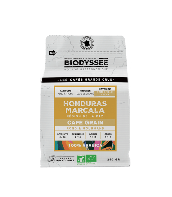 Café grain bio Honduras Marcala Biodyssée – grand cru 100% arabica 250 g