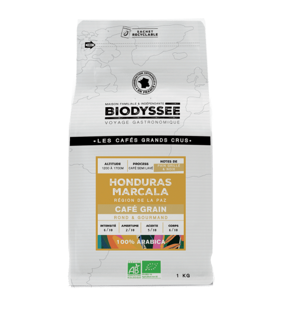 Café grain bio Honduras Marcala Biodyssée 1 kg – grand cru arabica rond et gourmand aux notes de pain grillé et noix