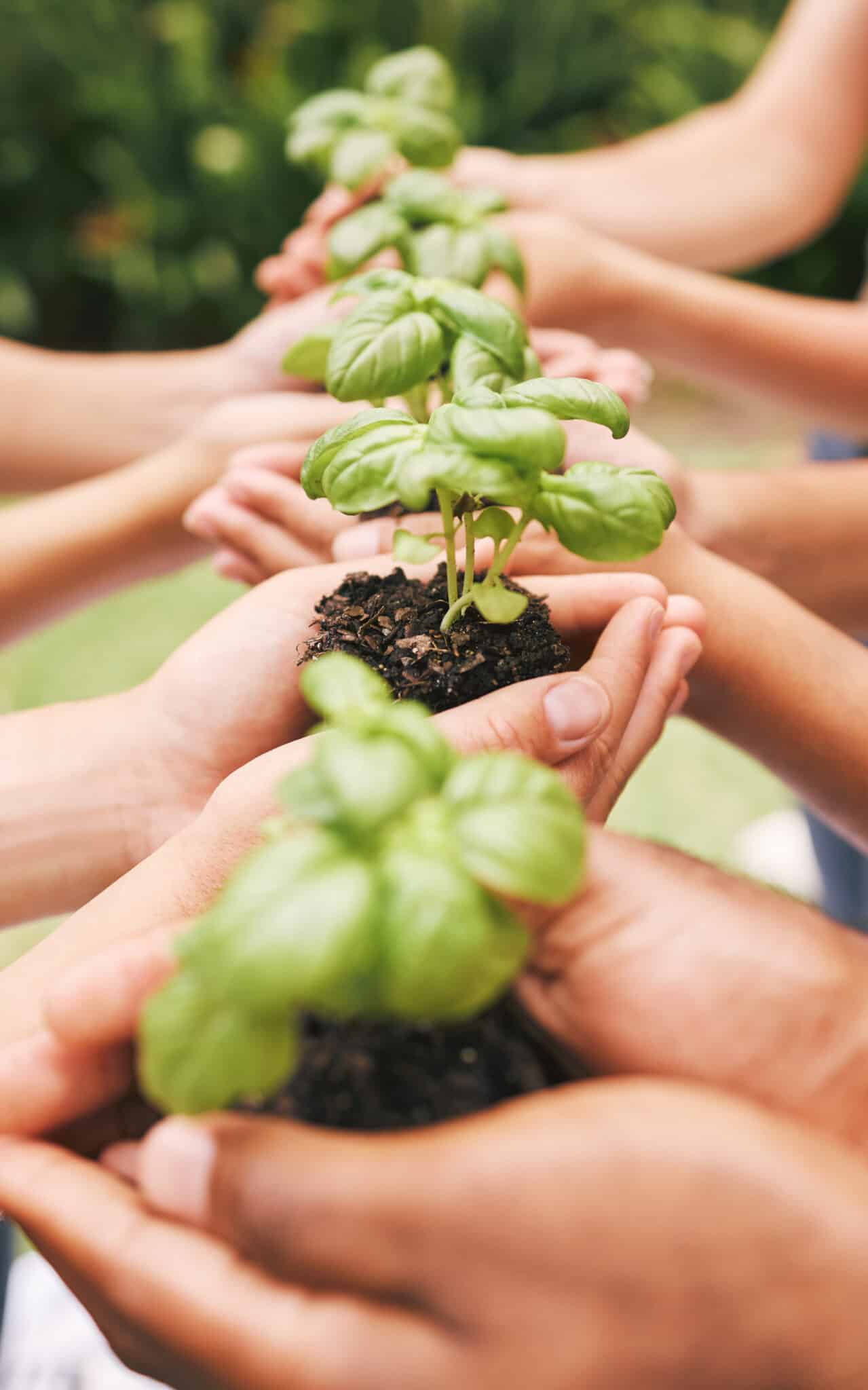 agriculture bio sans pesticides
