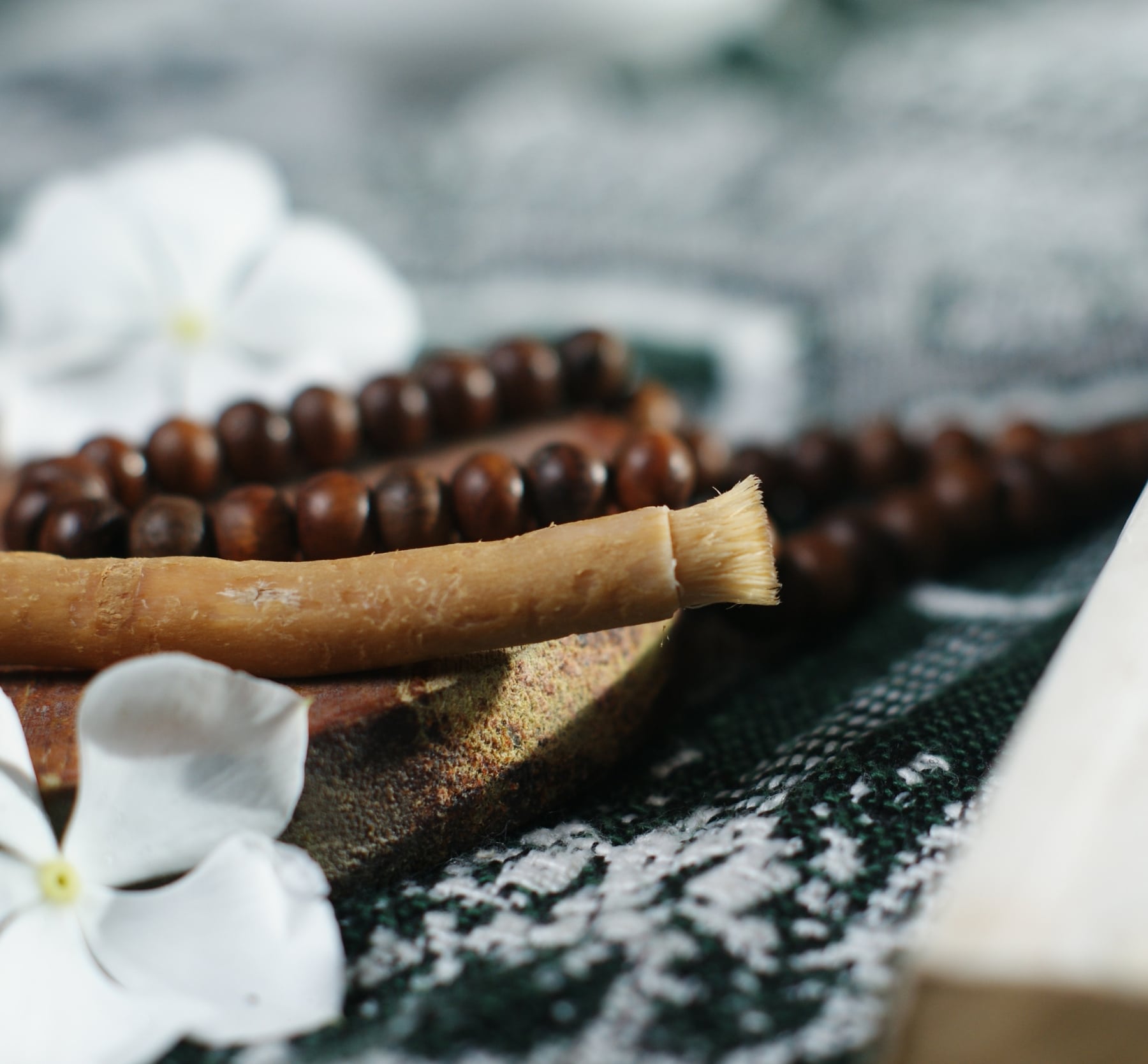 Bâton de siwak naturel posé sur un support en bois, entouré de fleurs blanches et d’un chapelet, symbole d’hygiène dentaire ancestrale et écologique.