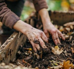 mains plongeant dans la terre/compost avec des feuilles mortes