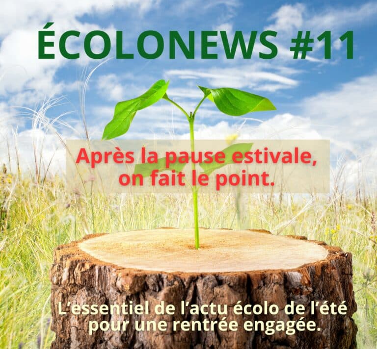 Écolonews #11 – Après la pause estivale, panorama de l’actualité écologique de l’été 2025 : mobilisations, victoires et alertes pour une rentrée engagée.