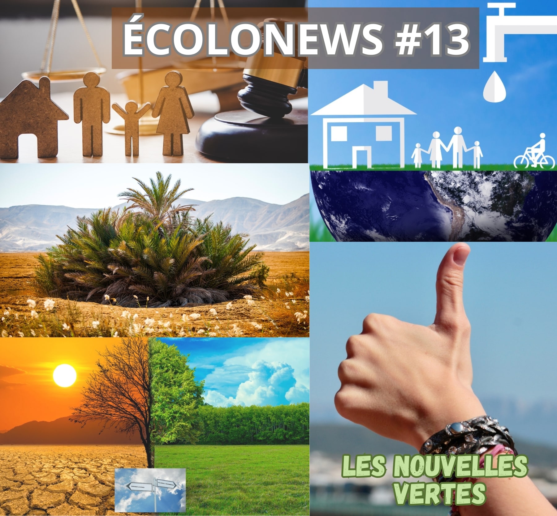 Montage Écolonews #13 : justice, climat, eau, biodiversité et gestes positifs — les nouvelles vertes de la planète