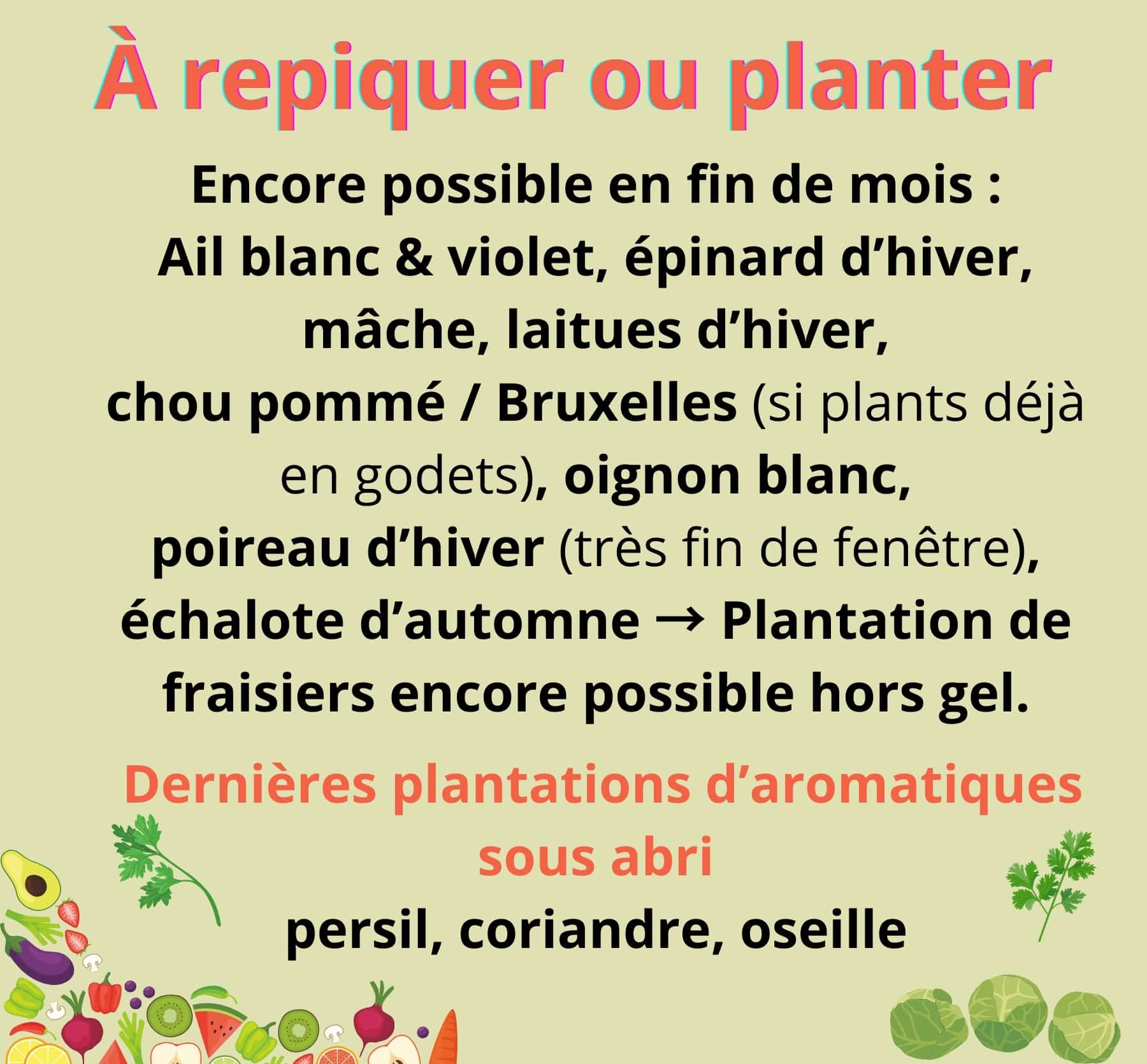 A repiquer ou planter à la fin novembre