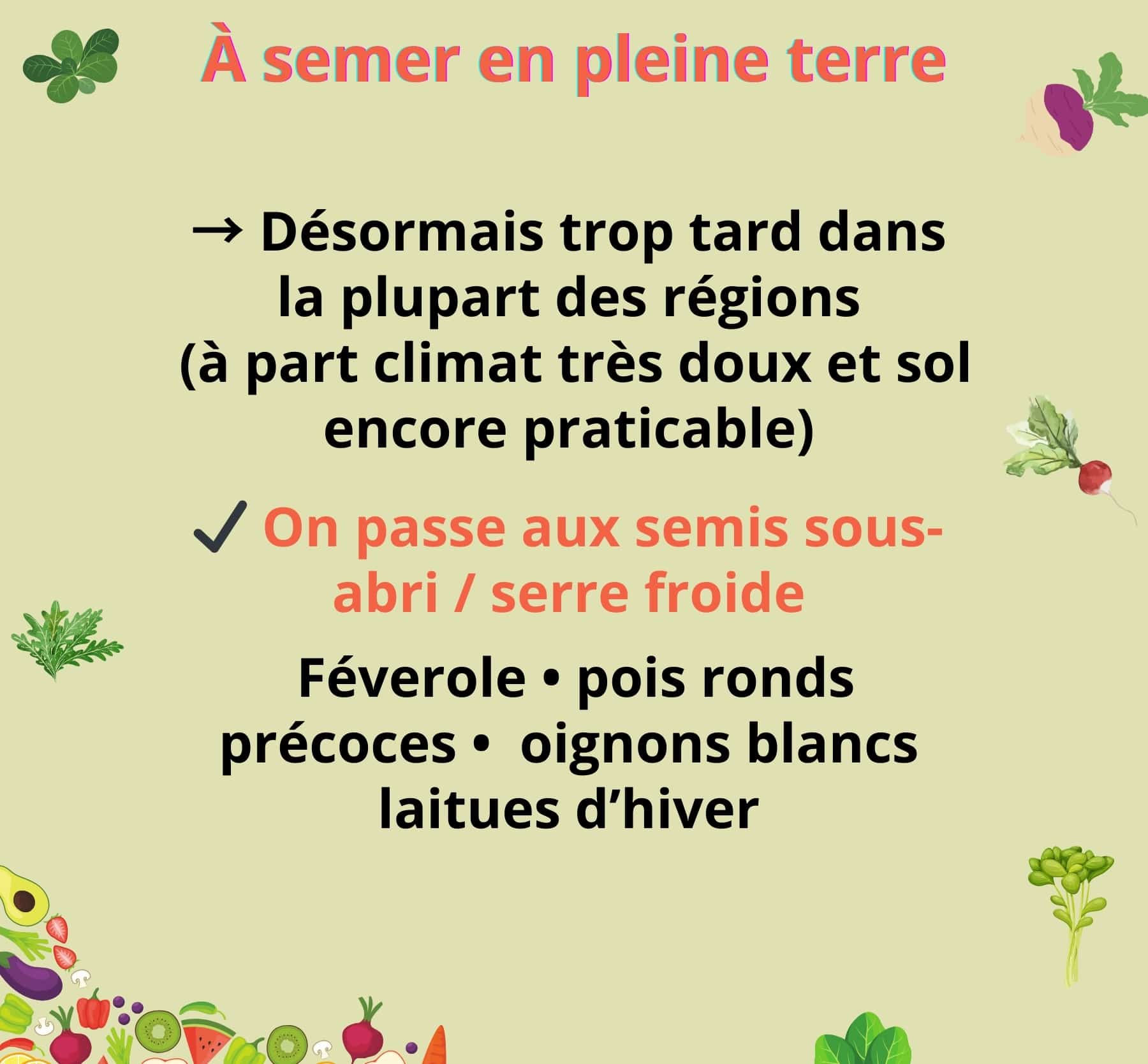 A semer en pleine terre à la fin novembre