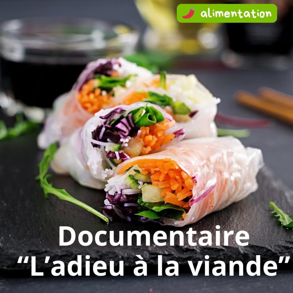Rouleaux végétariens remplis de légumes frais et colorés, image illustrant l'alimentation sans viande et le documentaire “L’adieu à la viande”.