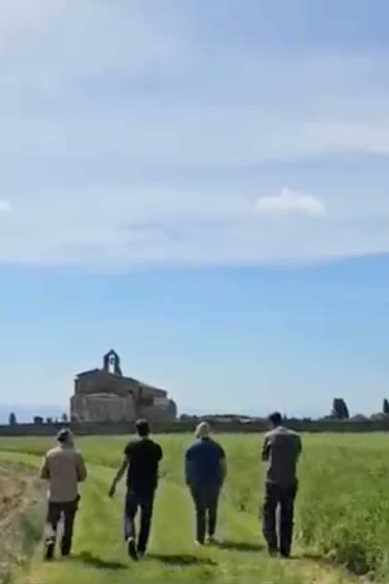 Découverte de la filière de sarriette citronnée biologique en France