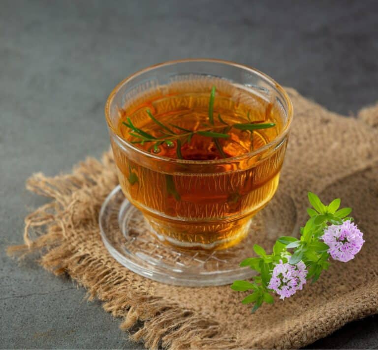 Tasse d’infusion de sarriette citronnée bio aux notes citronnées, plante aromatique cultivée en agriculture biologique en France