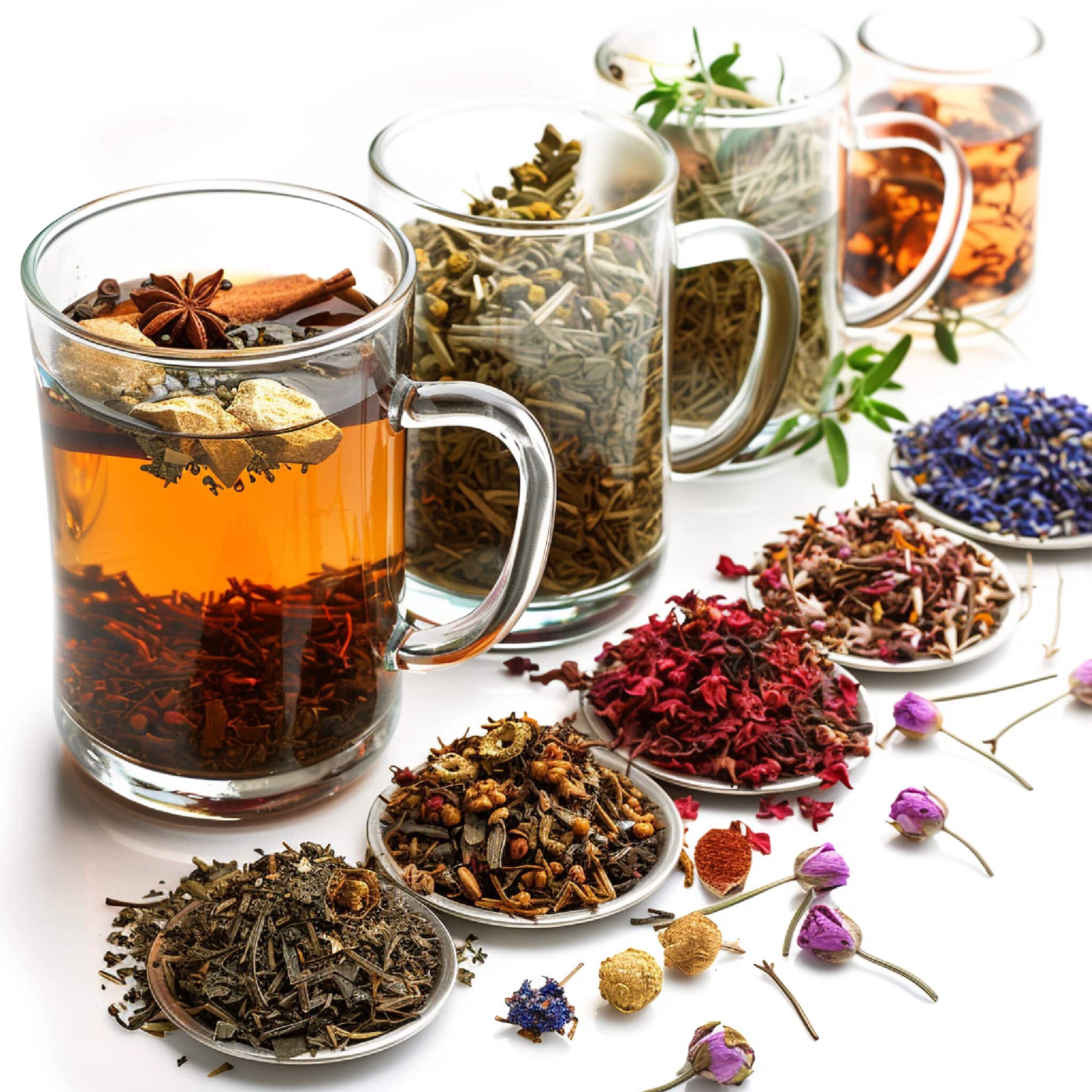 Assortiment d’infusions de plantes aromatiques aux saveurs naturelles et végétales