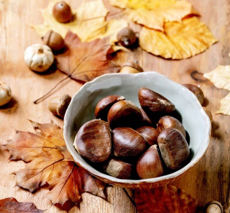 Châtaignes fraîches dans un bol, entourées de feuilles d’automne, illustrant la cuisine d’hiver et les recettes réconfortantes de saison