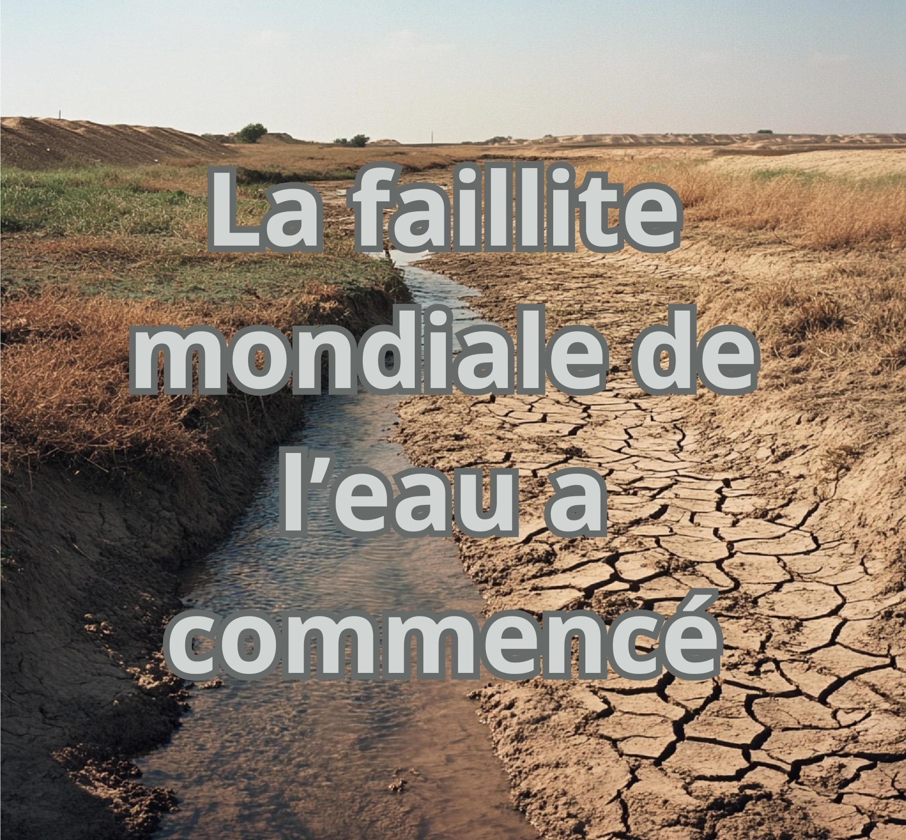 Lit de rivière presque asséché illustrant la faillite mondiale de la ressource en eau