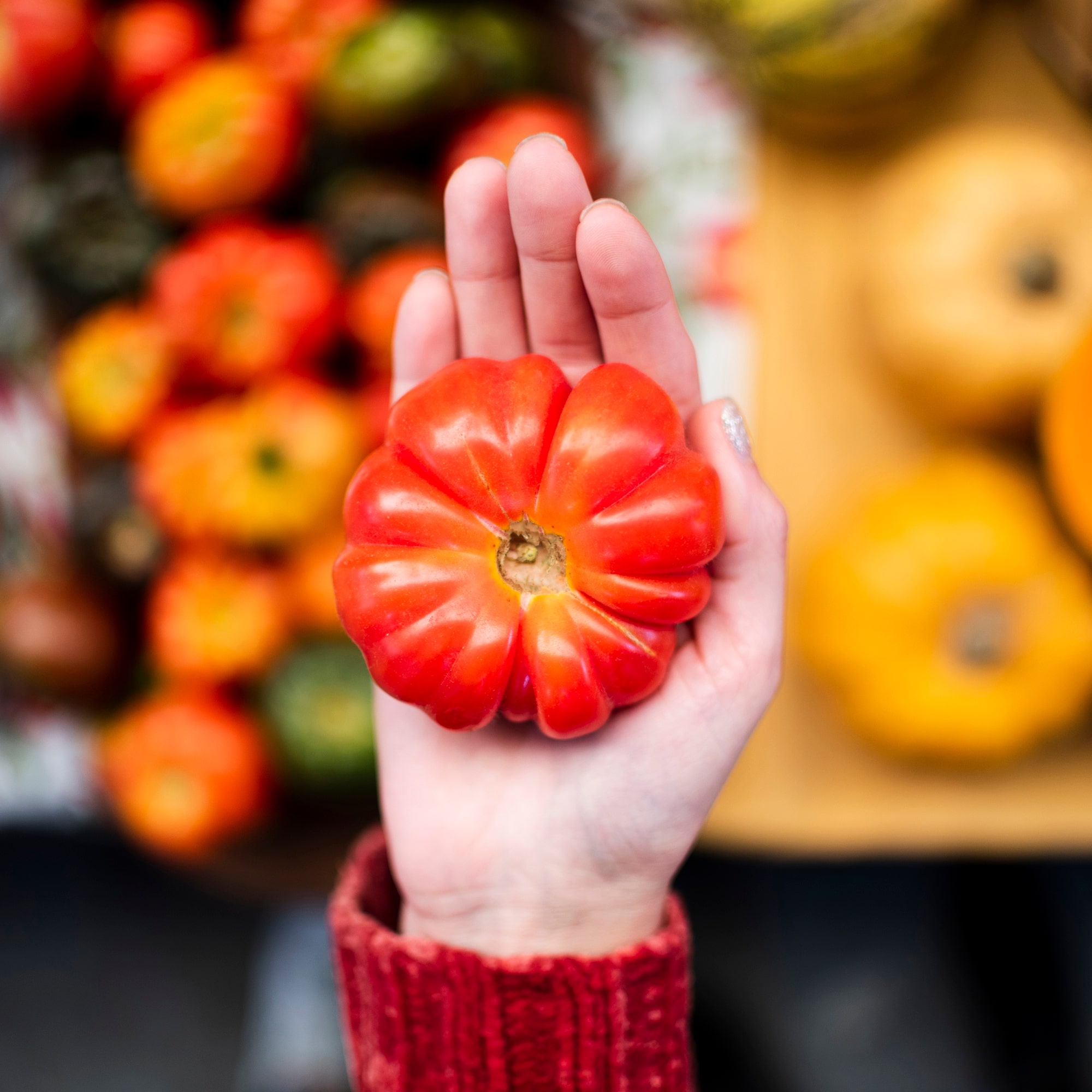 Tomates rouges tenues dans une main, illustrant l’importance de l’odeur dans la perception de fraîcheur