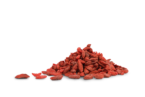 baies goji bio sechees qinghai superfruit riche antioxydants vitamines fibres