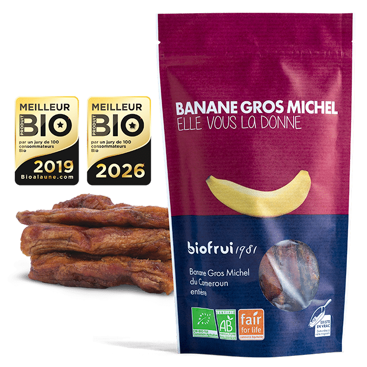 Banane Gros Michel séchée entière bio équitable Biofrui1981 Cameroun