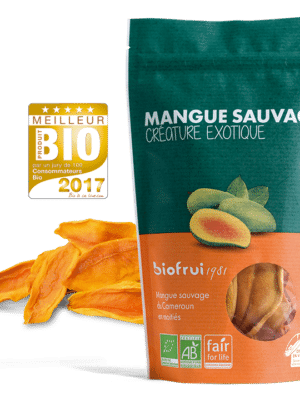 mangue sauvage sechee bio equitable cameroun biofrui1981 fruit sec parfum intense raw vegan