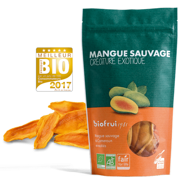 mangue sauvage sechee bio equitable cameroun biofrui1981 fruit sec parfum intense raw vegan