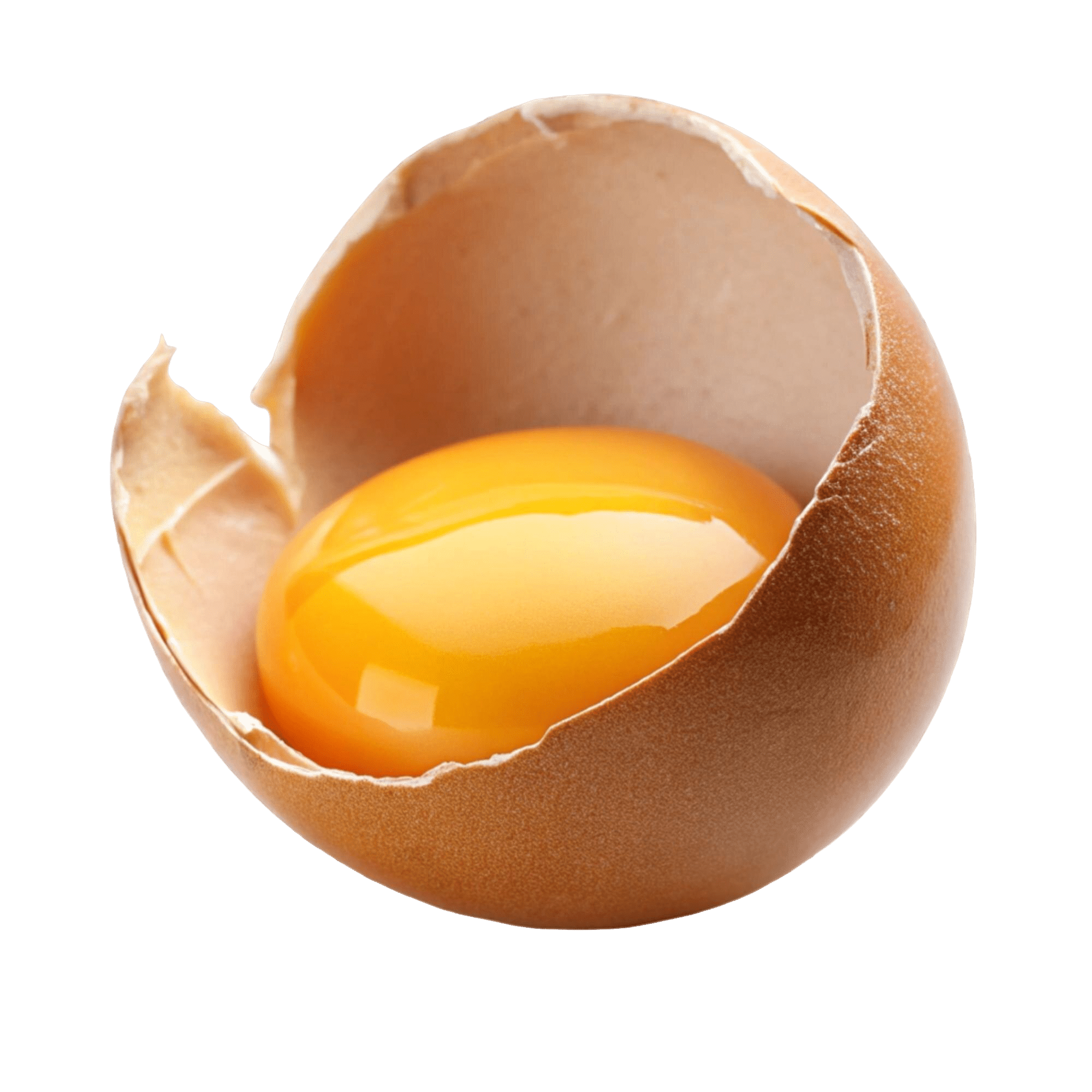 Œuf ouvert montrant un jaune orangé, dont la couleur dépend de l’alimentation de la poule
