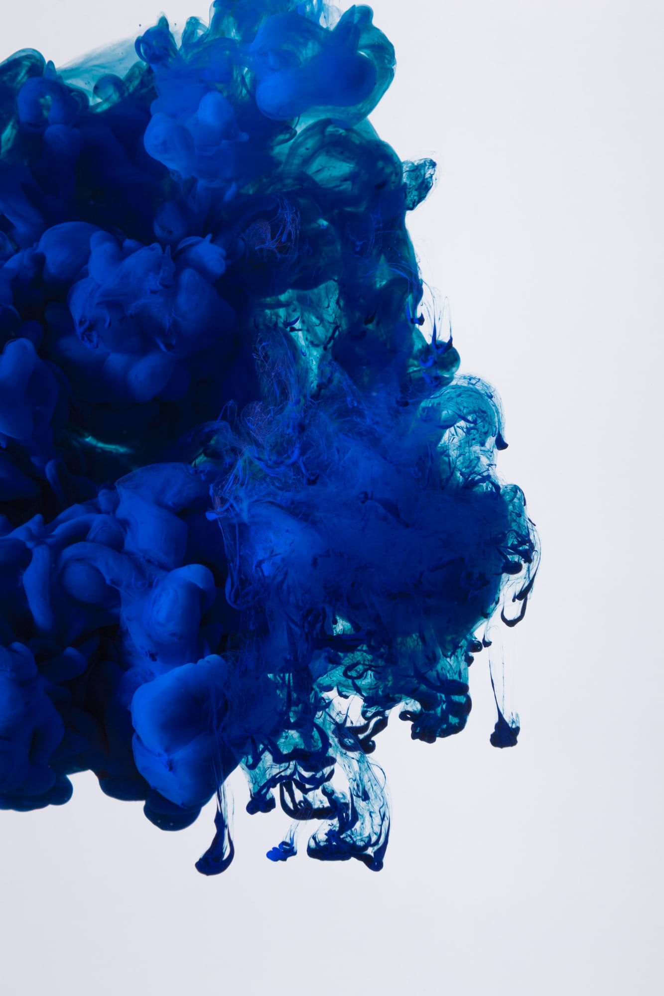 pigment bleu phycocyanine présent dans la spiruline puissant antioxydant naturel
