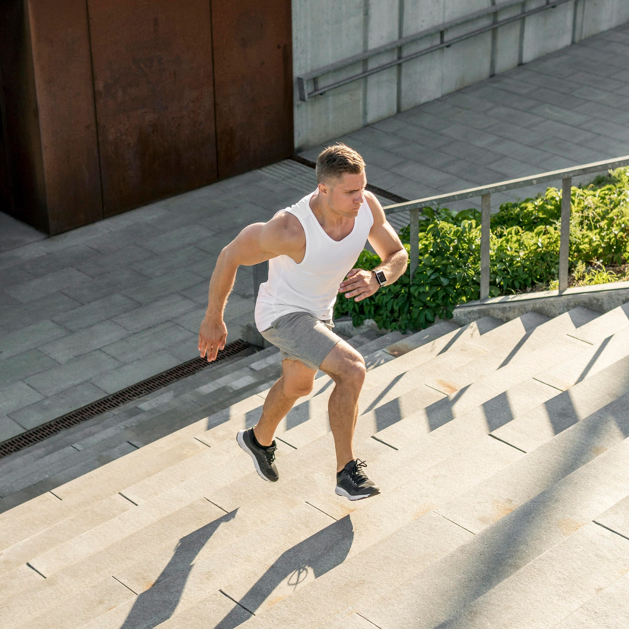 Entraînement sportif et récupération musculaire