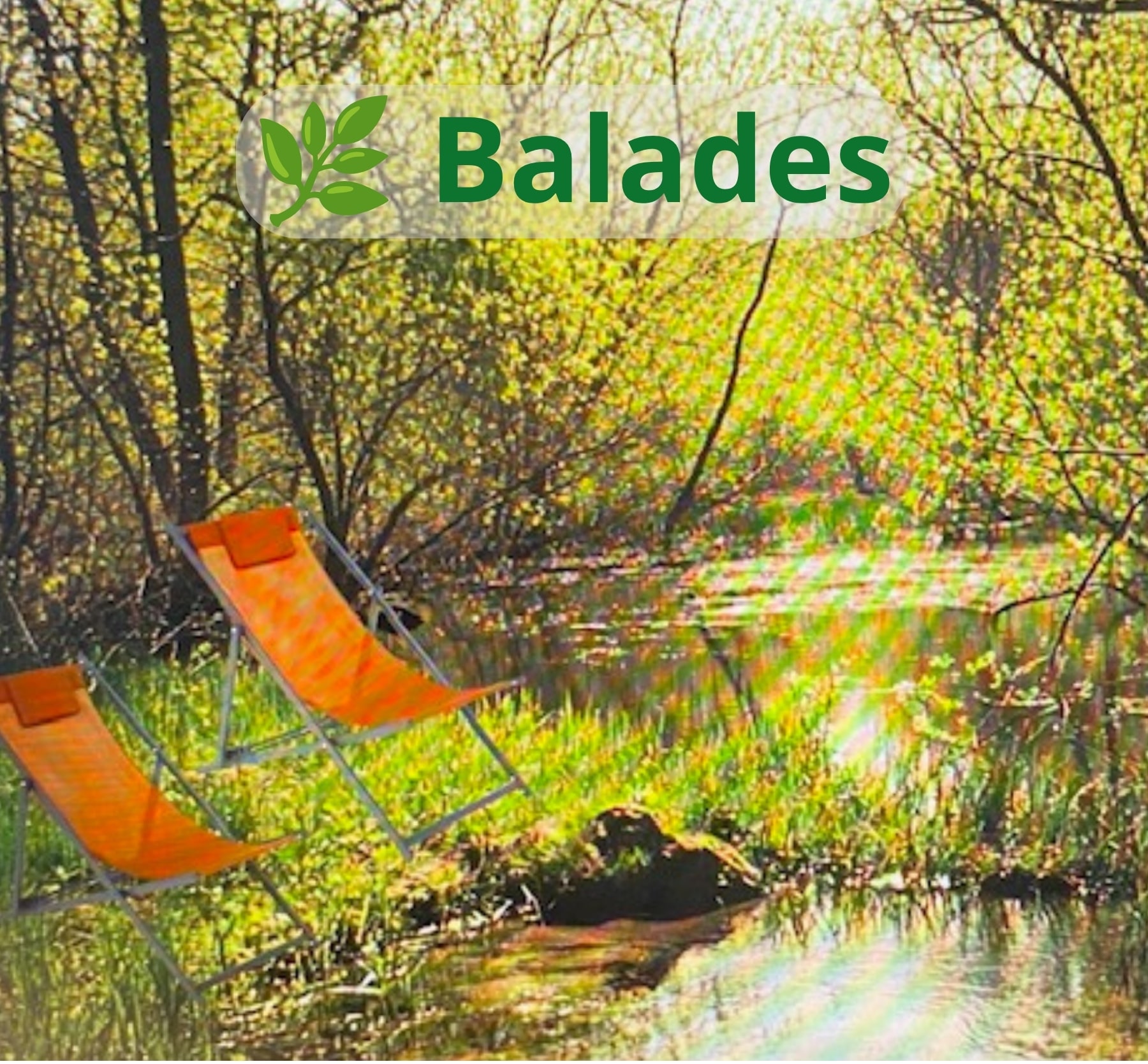 Deux chiliennes orange au bord d'une rivière, au cœur d'une nature verdoyante, illustrant les balades nature et les découvertes d'Ecolopromo.