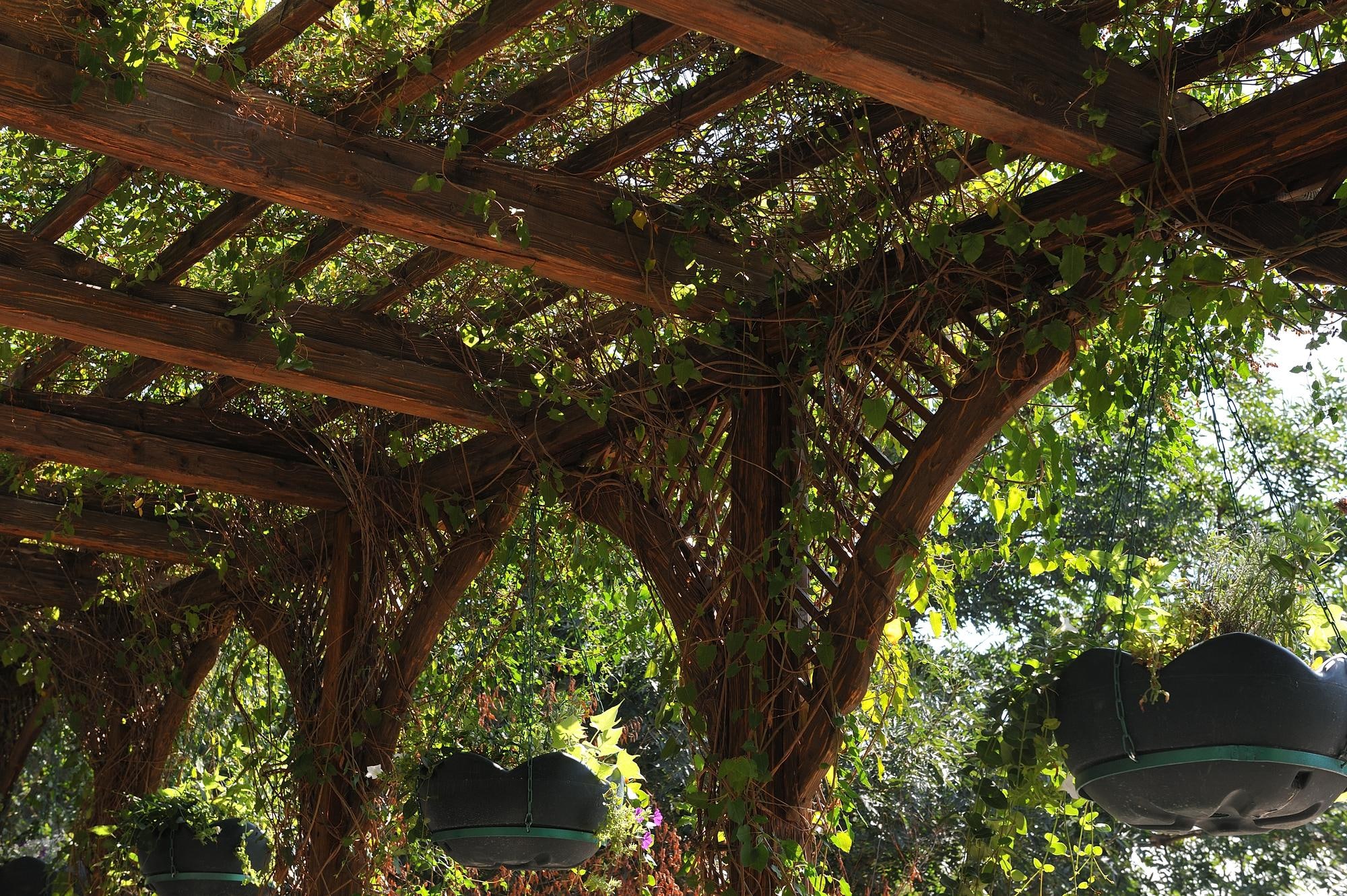 Pergola en bois recouverte de plantes grimpantes offrant une ombre naturelle et rafraîchissante au jardin pendant les fortes chaleurs.