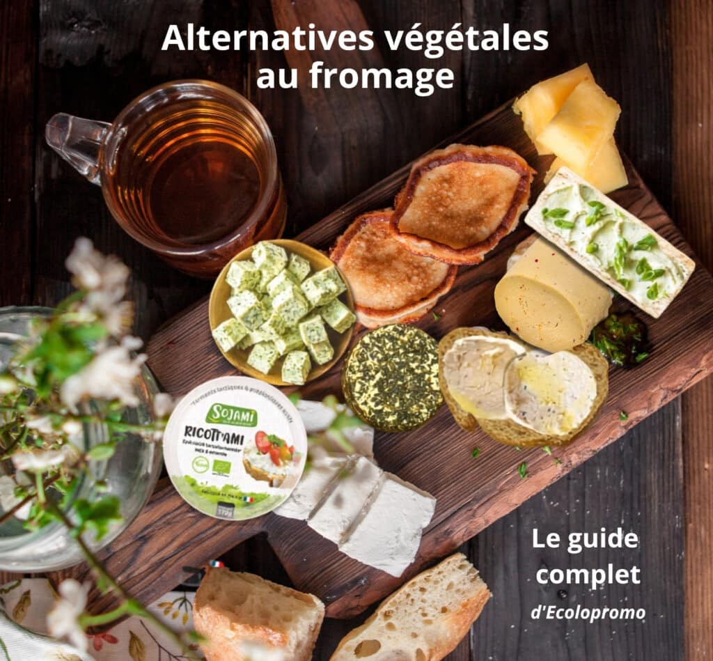 Planche gourmande présentant différentes alternatives végétales au fromage : spécialités au soja lactofermenté, tartinables, bûchettes et fromages végétaux bio.