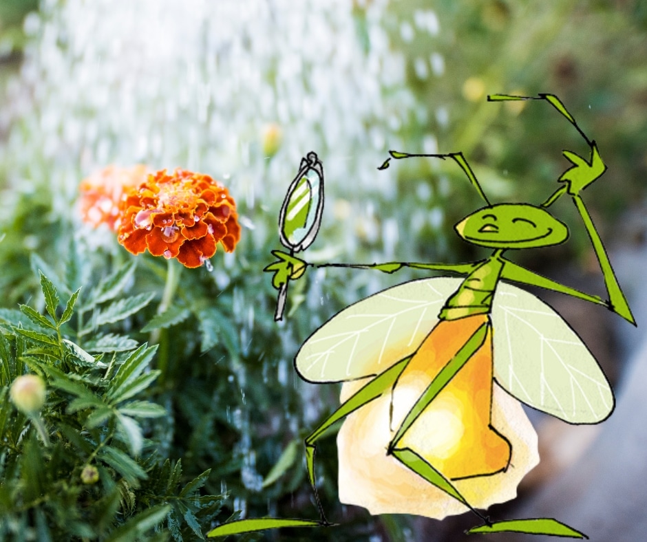 Lumizen se tient au milieu des plantes pour évoquer la beauté naturelle