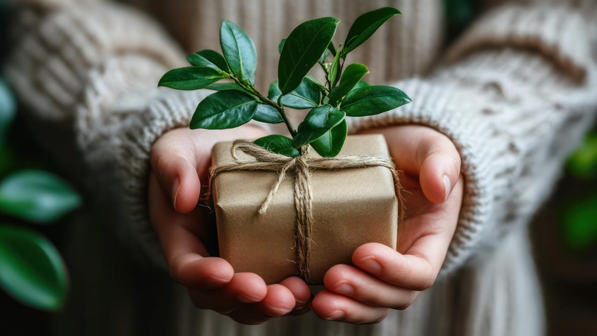Mains tenant un cadeau emballé en papier kraft et décoré de feuillage, symbole de Noël naturel et durable.