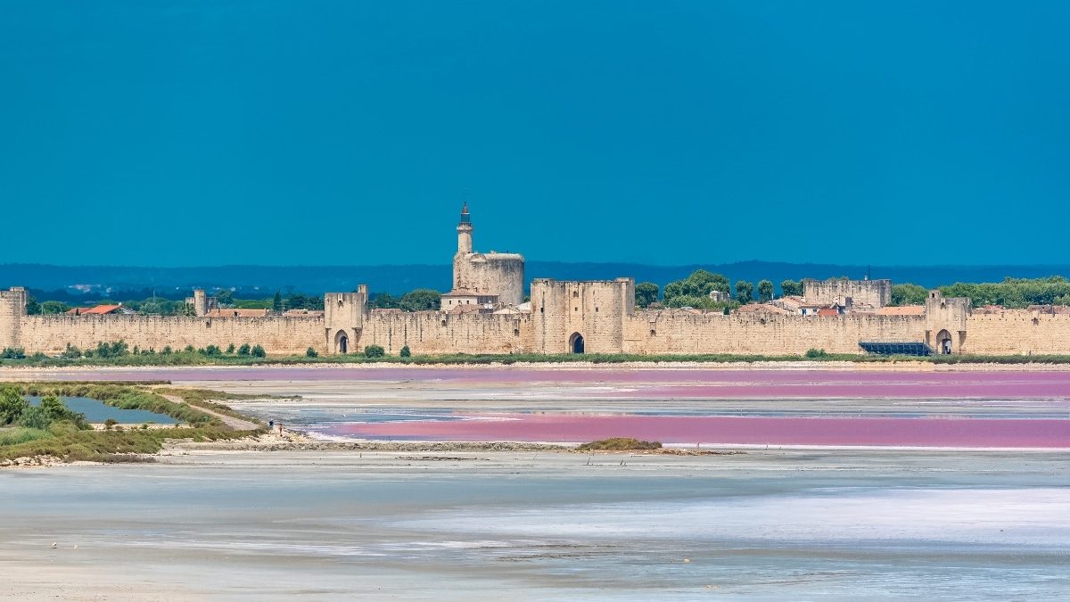 Camargue et Saintes-Maries-de-la-Mer menacées par la montée des eaux