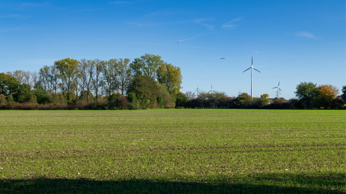 Paysage rural avec des éoliennes blanches derrière un champ, symbole de la transition énergétique locale.