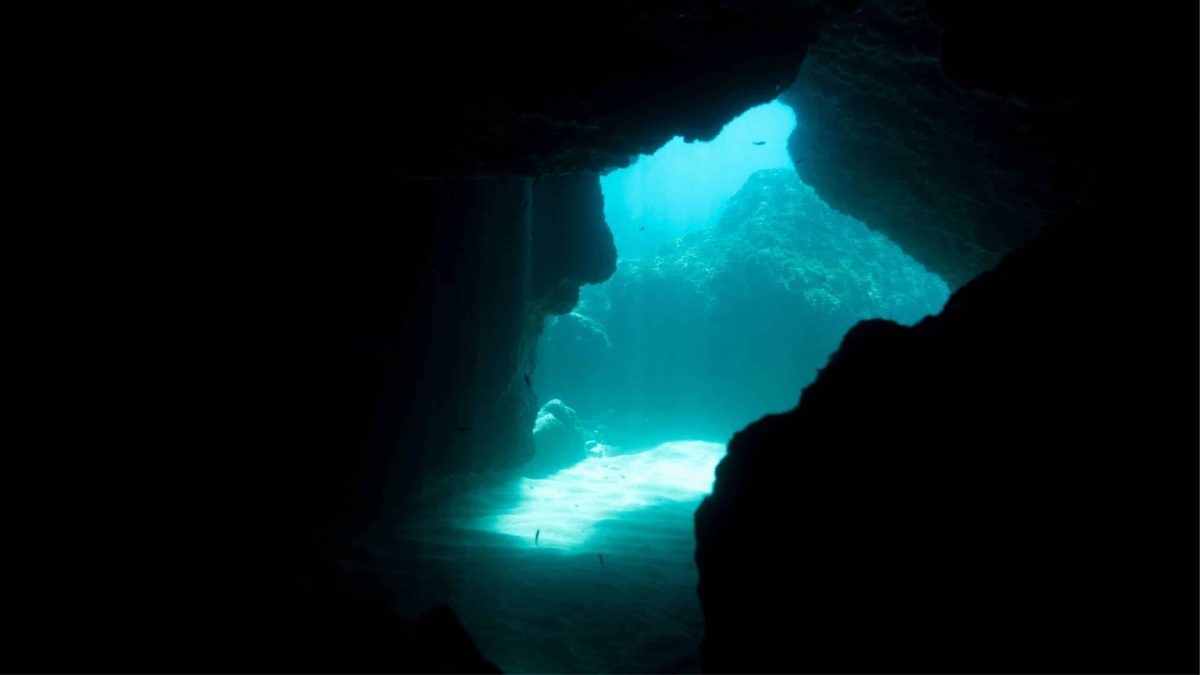 Vue sous-marine d’une grotte bleutée éclairée par la lumière du soleil, illustrant la richesse cachée des forêts marines.