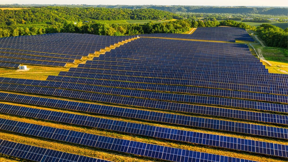 Vue aérienne d’un vaste parc de panneaux solaires installés en pleine nature, représentant la montée des énergies renouvelables.