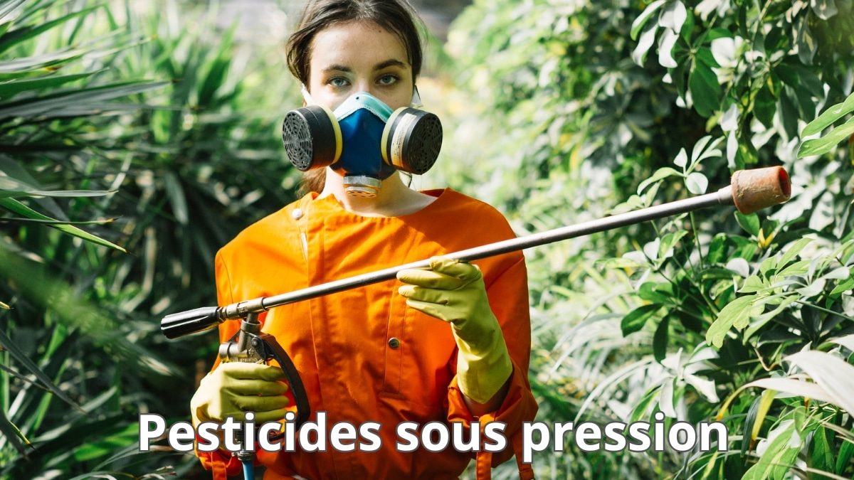 Pesticides sous pression