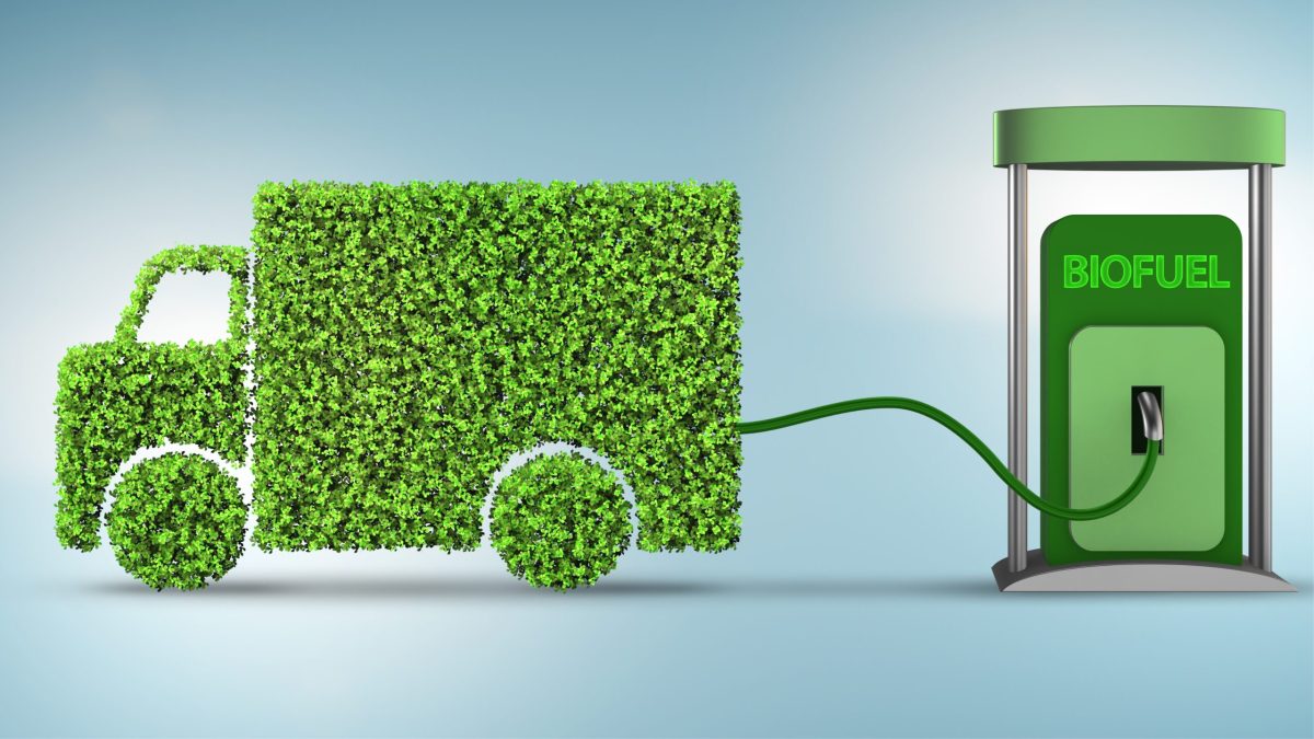 Un biocarburant aussi performant que le diesel