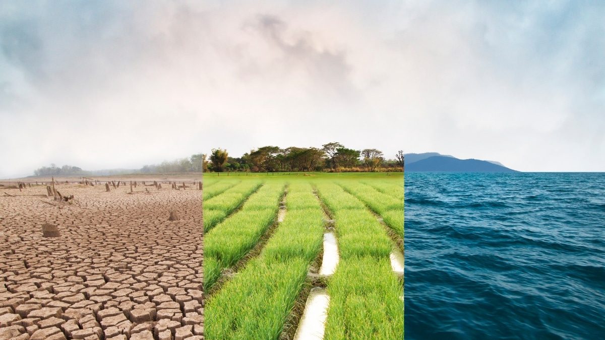 Un déni des risques climatiques