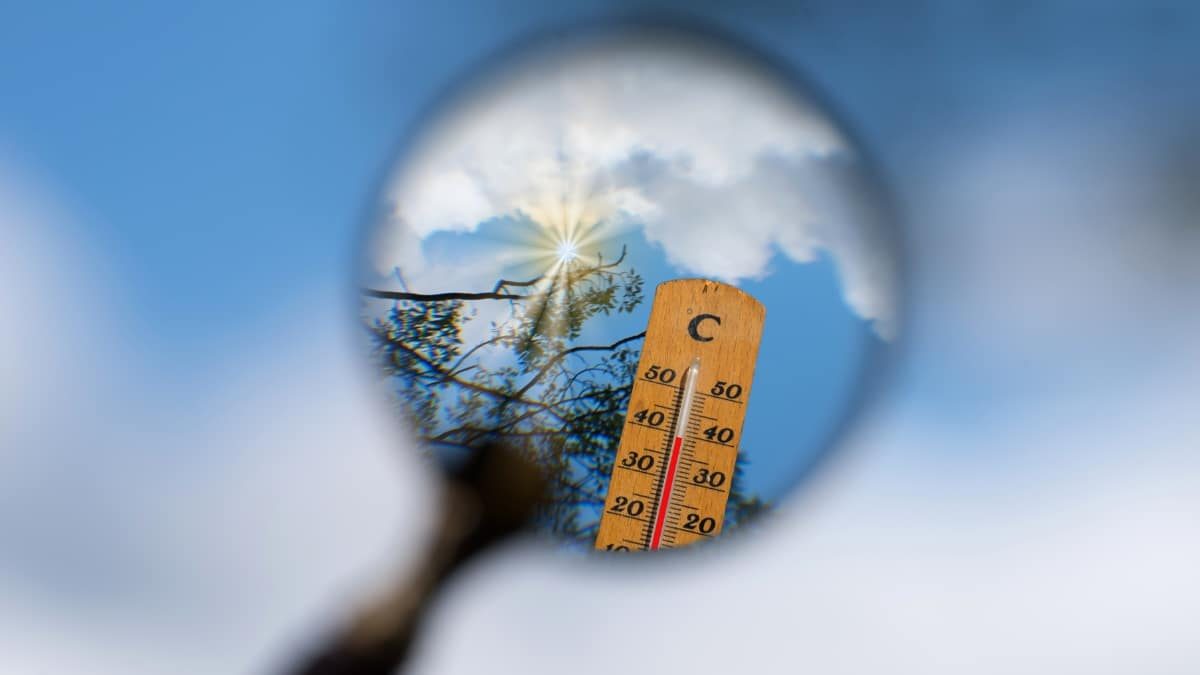 Villes & canicule _ comment résister à la chaleur extrême