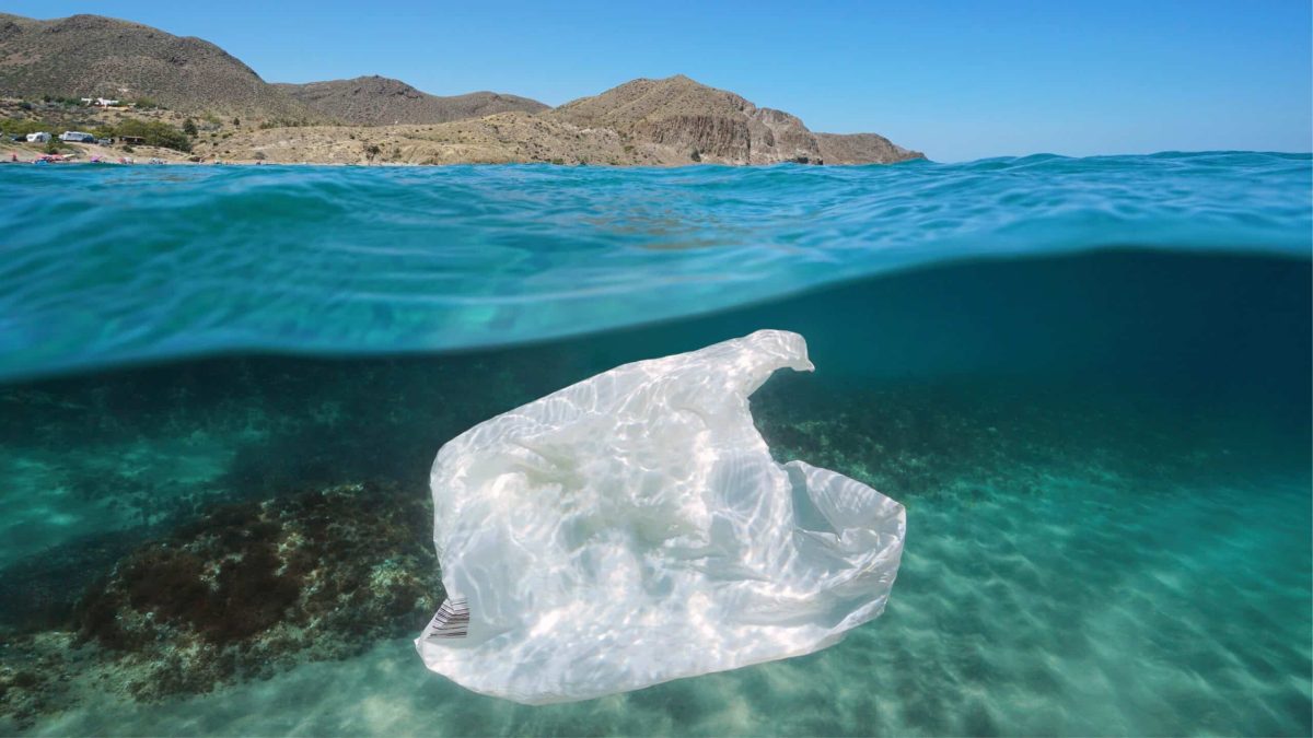 Sac plastique flottant sous la surface en Méditerranée, symbole de la pollution marine causée par le Rhône.